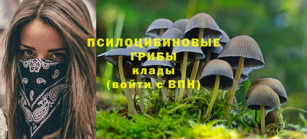 mdpv Волоколамск